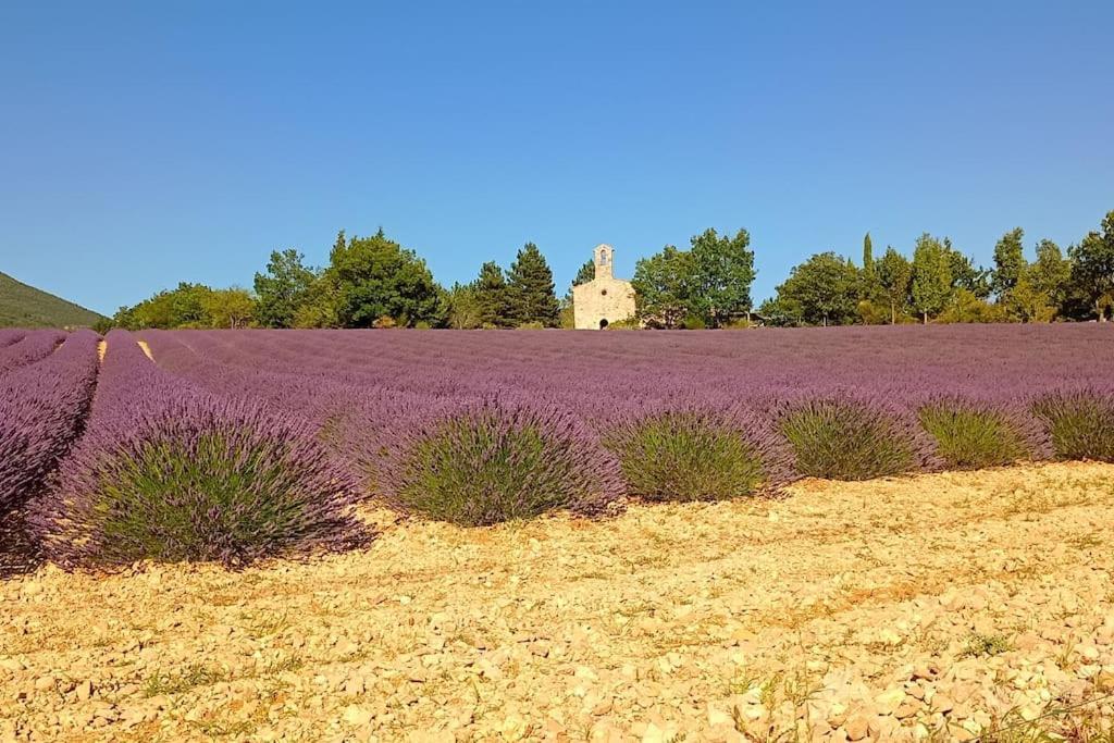 Le Mazet Sainte-Jalle, Piscine Chauffee, Jardin Clos, Barbecue En Baronnies Provencales 外观 照片