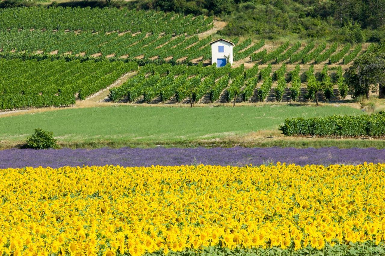 Le Mazet Sainte-Jalle, Piscine Chauffee, Jardin Clos, Barbecue En Baronnies Provencales 外观 照片